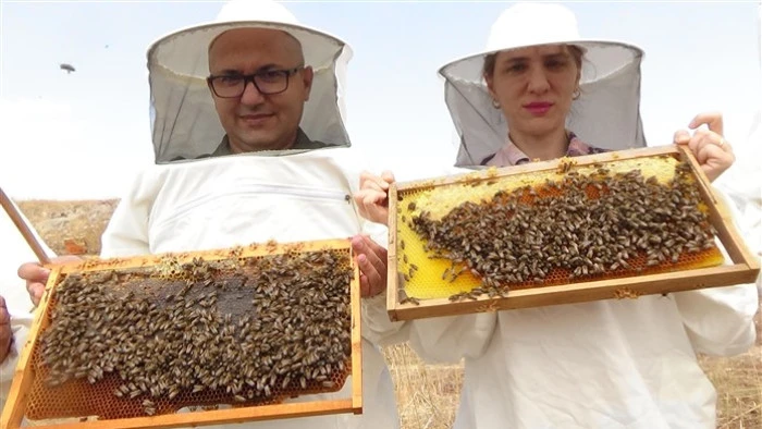 Dünyanın En İyi Balı Ödülünü Alan Torosların Zirvesinde Sezonun Son Bal Hasadı Yapıldı