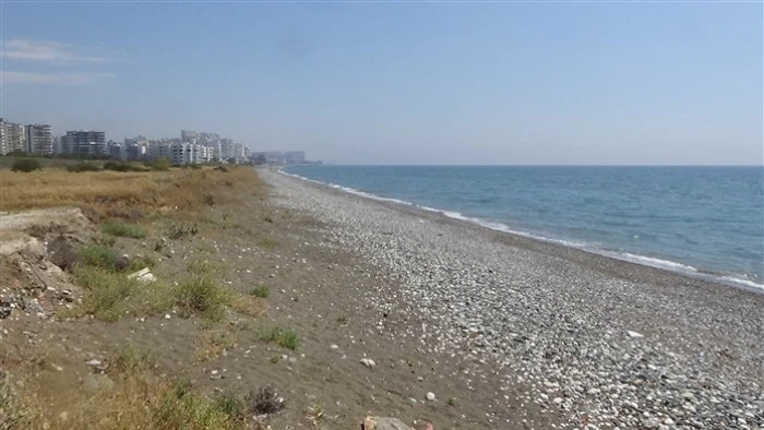 Alata Sahilindeki Caretta Caretta Yuvalarında Üniversiteli Öğrenciler Temizlik Yaptı