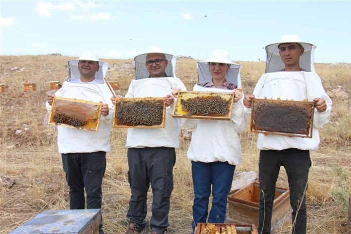 Dünyanın En İyi Balı Ödülünü Alan Torosların Zirvesinde Sezonun Son Bal Hasadı Yapıldı