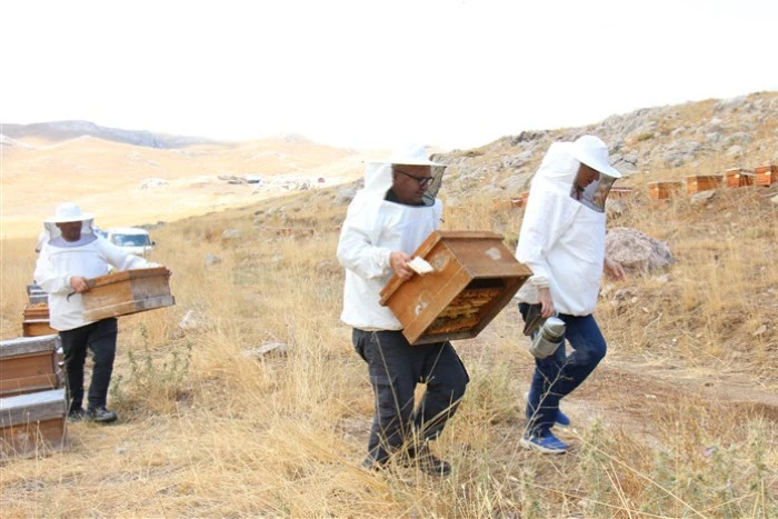 Dünyanın En İyi Balı Ödülünü Alan Torosların Zirvesinde Sezonun Son Bal Hasadı Yapıldı