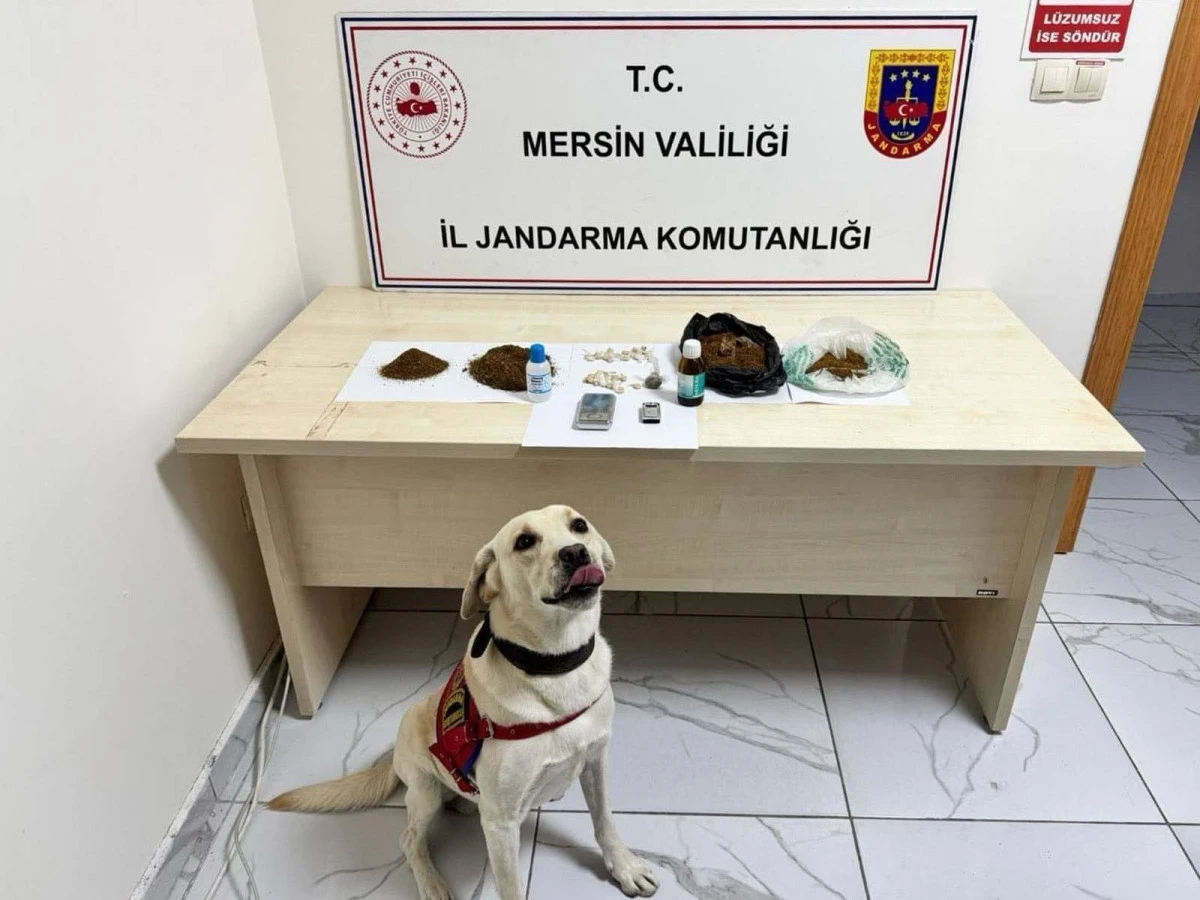 Jandarma Erdemli’de Uyuşturucu Ticareti Yapan 5 Kişiyi Yakaladı