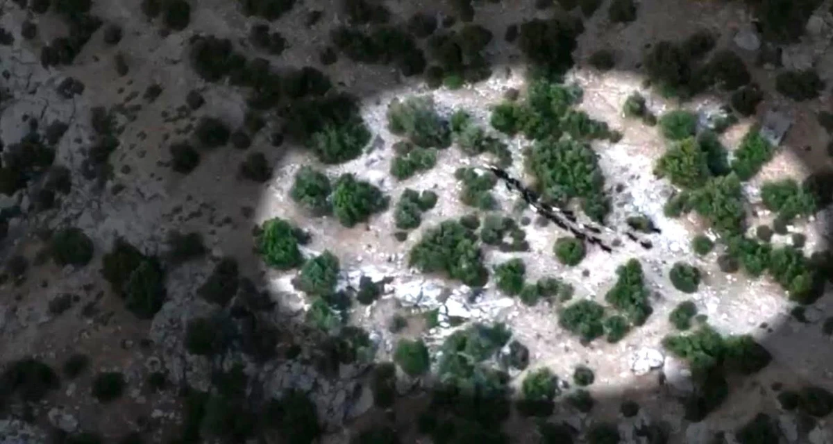 Kaybolan Ke&ccedil;ileri Jandarma Drone&rsquo;la Buldu, Sahibine Teslim Etti